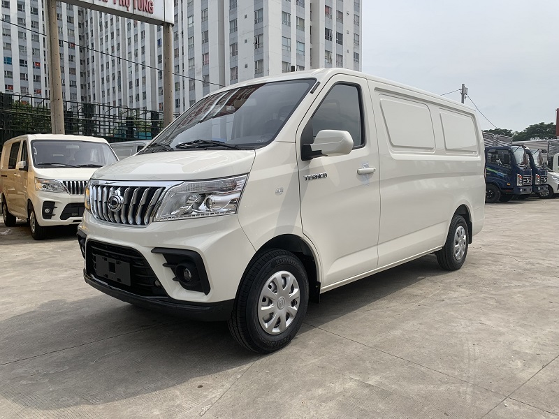 Xe van 2 chỗ tera v8 màu trắng